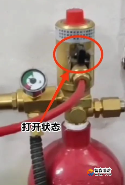 1738726571159944.png image.png