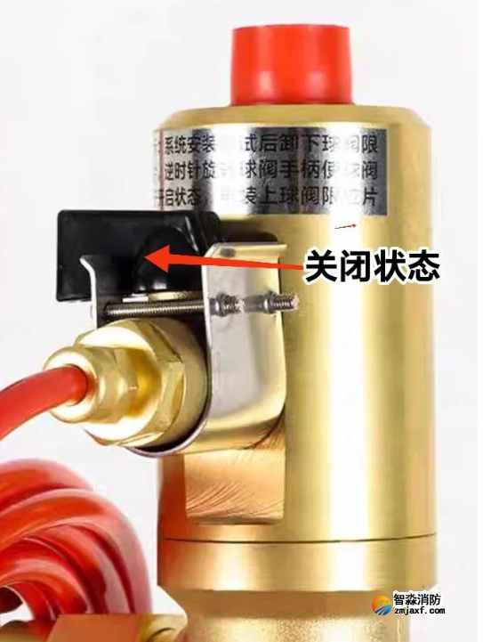 1738726593147455.png image.png